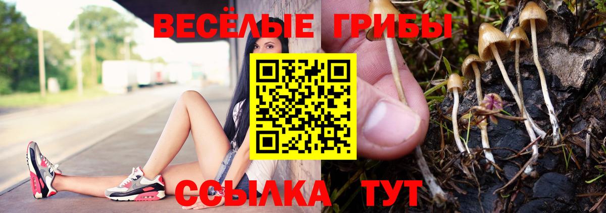 Галлюциногенные грибы Cubensis  Вход с VPN  магазин продажи наркотиков  Наро-Фоминск 